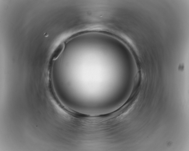 X0000092071414200709121407