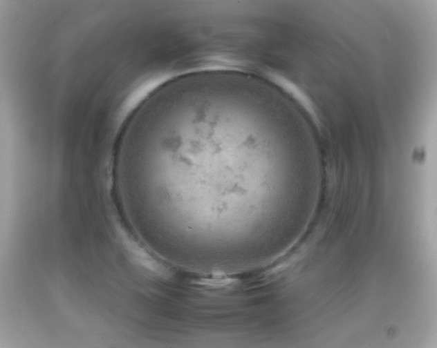 X0000092071415200709121407