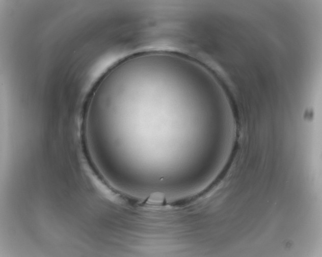X0000092071416200709121407