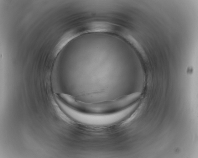 X0000092071417200709121407