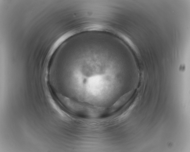 X0000092071418200709121407
