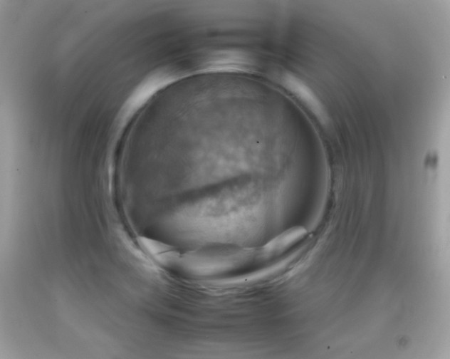 X0000092071419200709121407