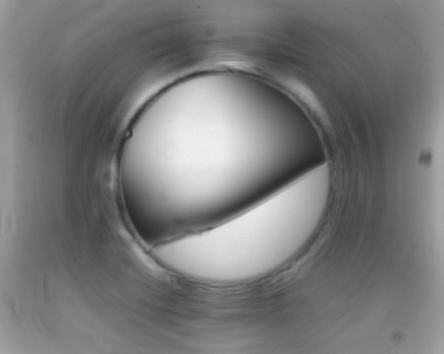 X0000092071420200709121407