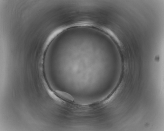 X0000092071421200709121407
