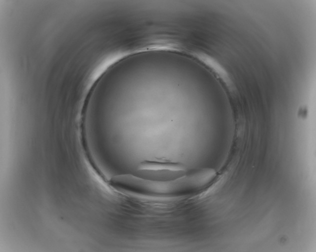 X0000092071423200709121407