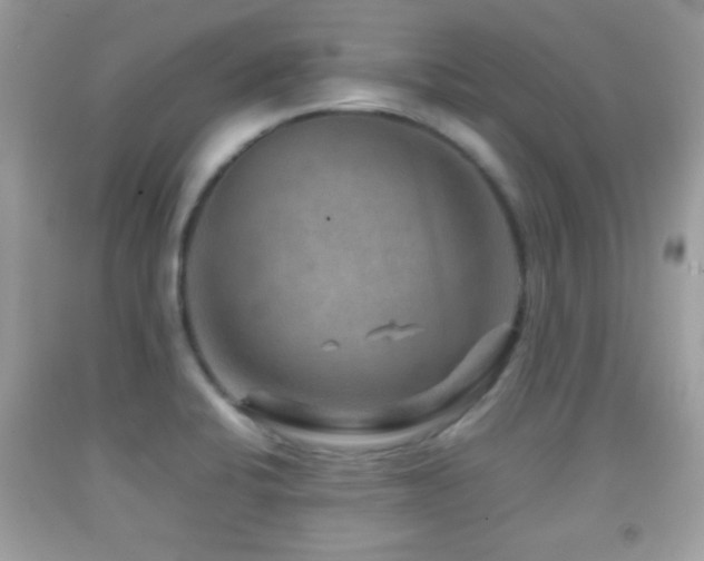 X0000092071424200709121407