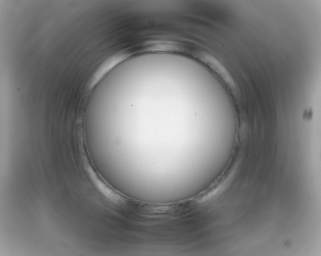 X0000092071425200709121407