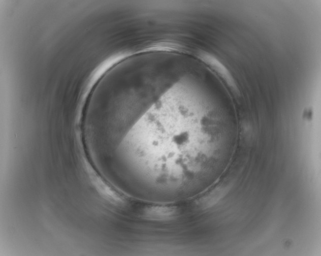 X0000092071427200709121407