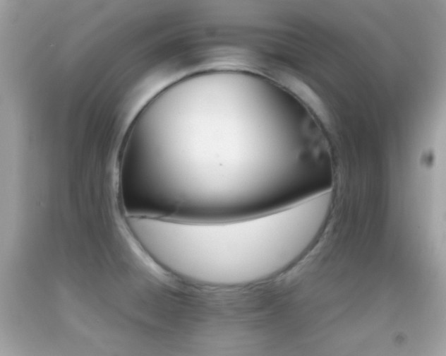 X0000092071428200709121407