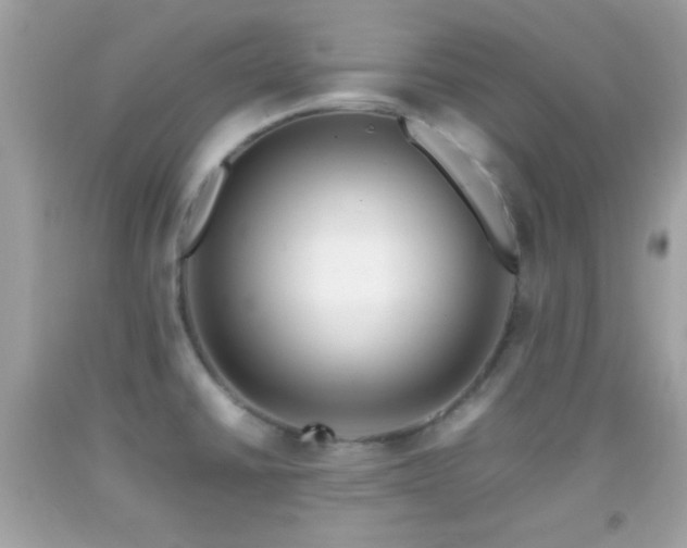 X0000092071430200709121407