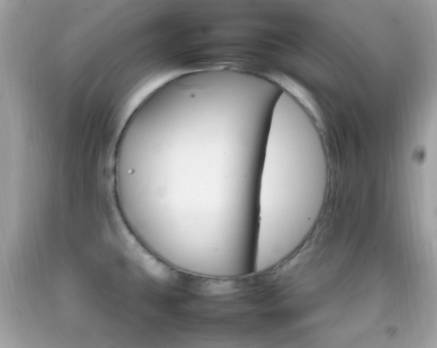 X0000092071431200709121407