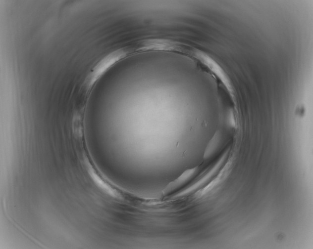 X0000092071433200709121407
