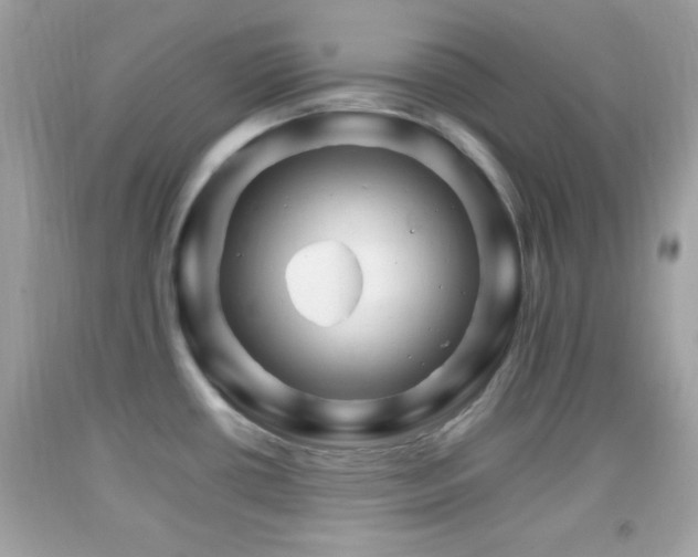 X0000092071434200709121407