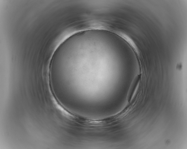 X0000092071439200709121407