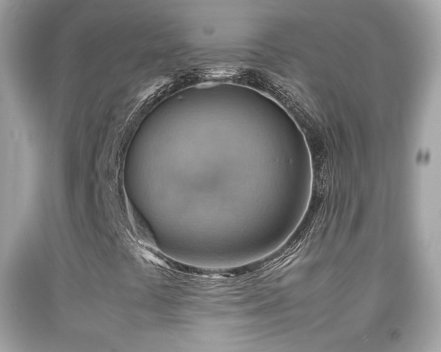 X0000092071441200709121406
