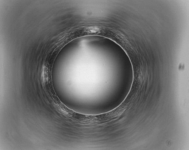 X0000092071442200709121406