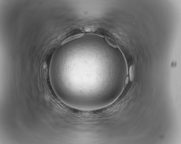 X0000092071443200709121406