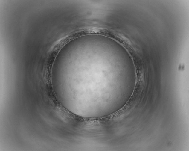 X0000092071446200709121406