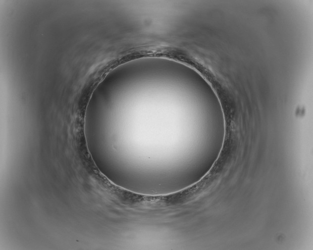 X0000092071447200709121406