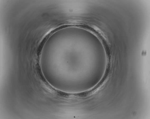 X0000092071449200709121406