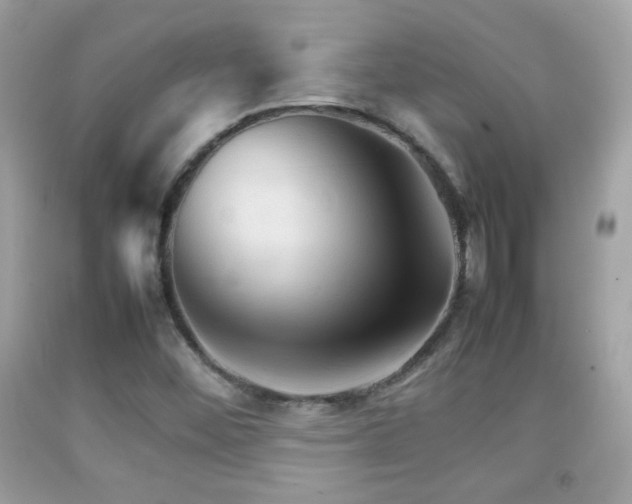 X0000092071452200709121406