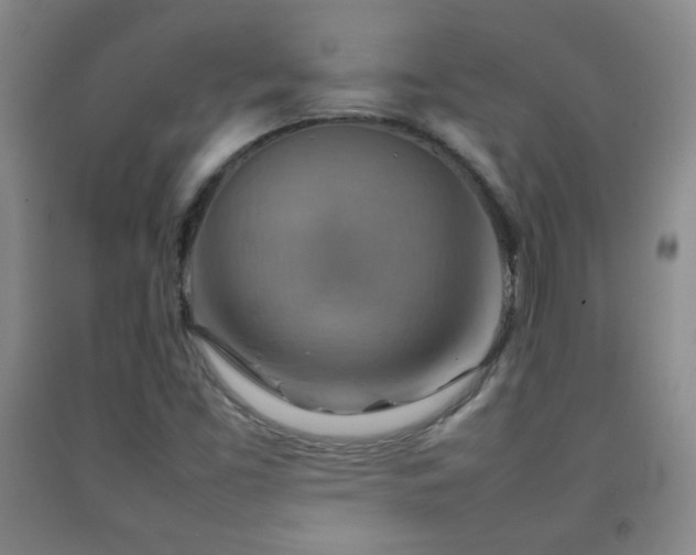 X0000092071453200709121406