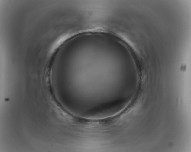 X0000092071455200709121406