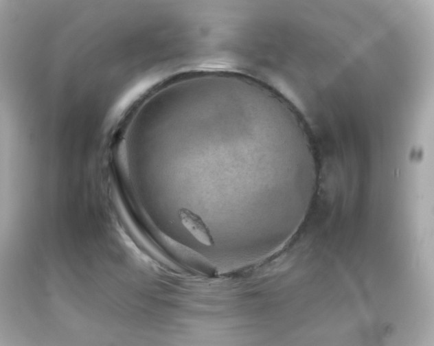 X0000092071456200709121406