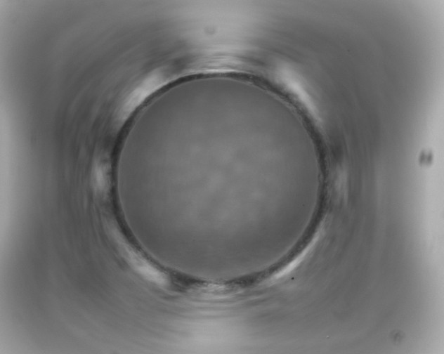 X0000092071457200709121406