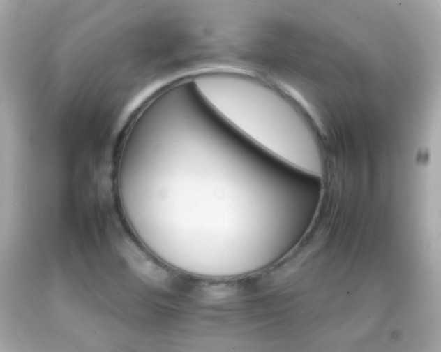 X0000092071460200709121406