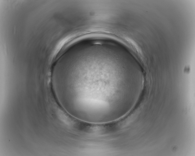 X0000092071461200709121406