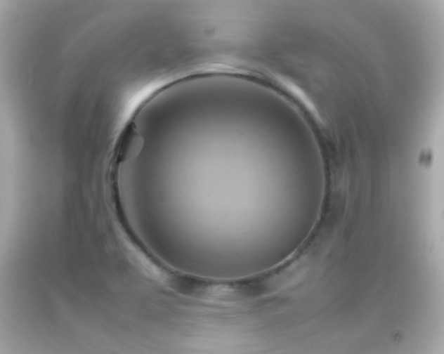X0000092071463200709121406