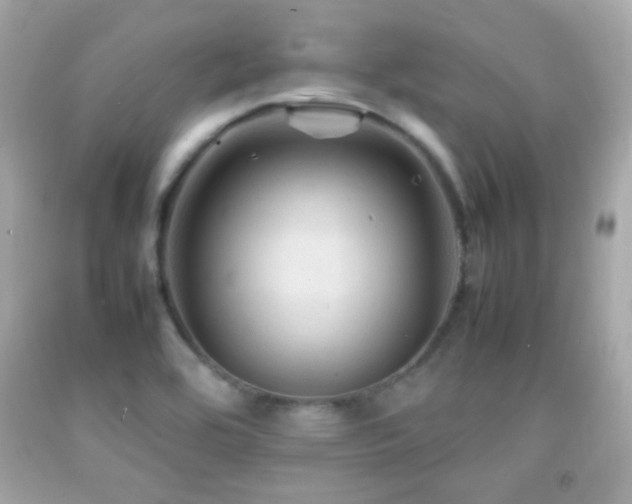 X0000092071464200709121406