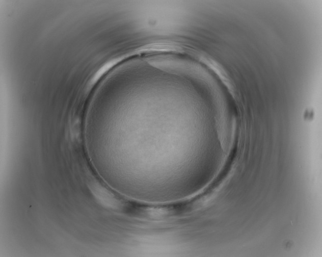 X0000092071465200709121406
