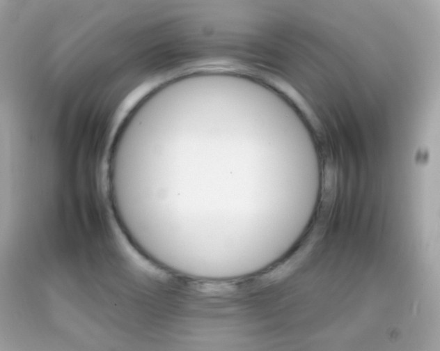 X0000092071466200709121406