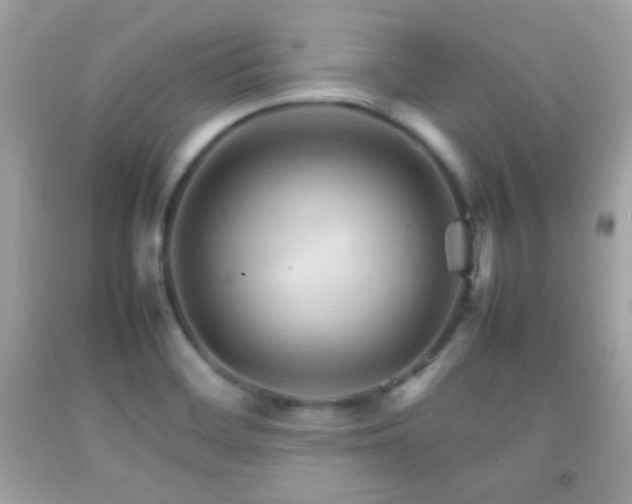 X0000092071468200709121406