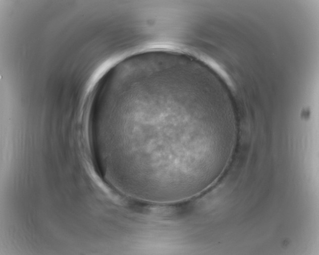 X0000092071469200709121406