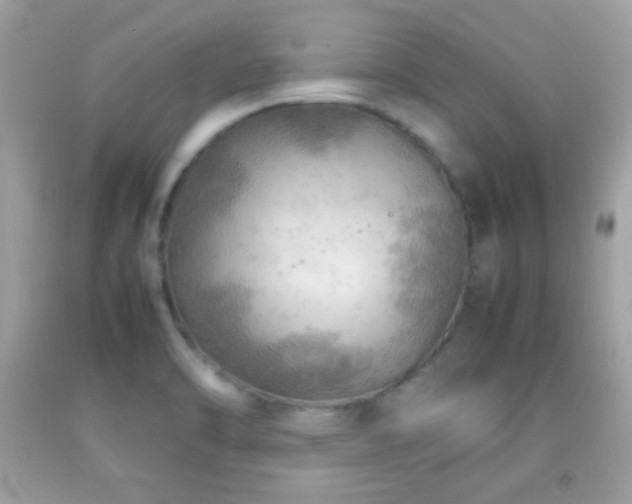 X0000092071470200709121406