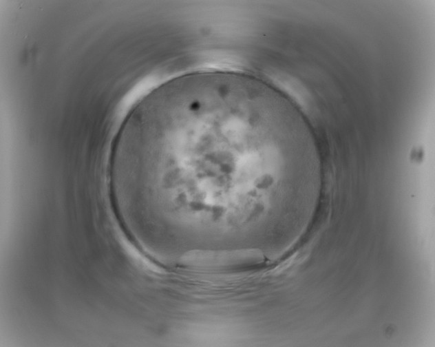 X0000092071471200709121406