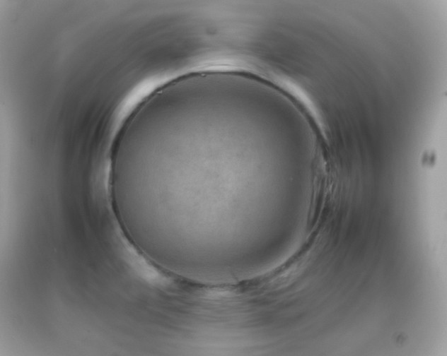 X0000092071472200709121406