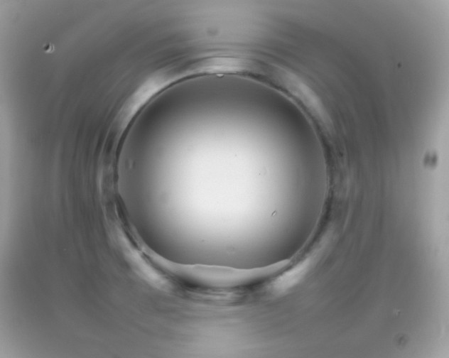 X0000092071473200709121406