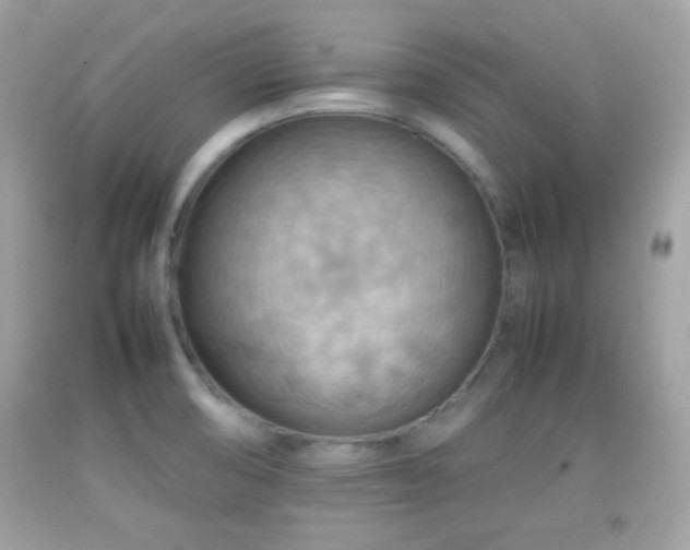 X0000092071474200709121406