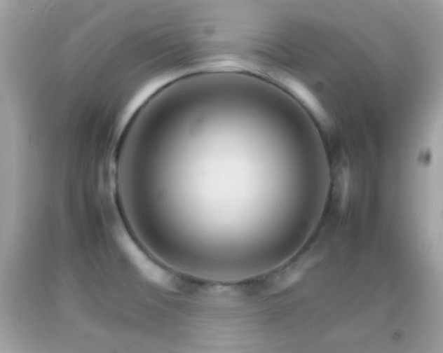 X0000092071476200709121406