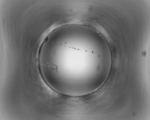 X0000092071479200709121406