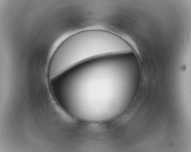 X0000092071480200709121406