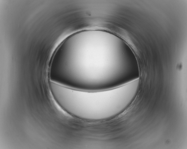 X0000092071484200709121406
