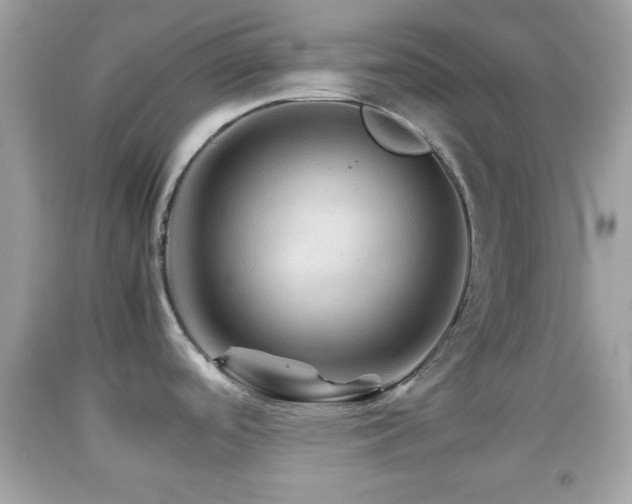 X0000092071488200709121406