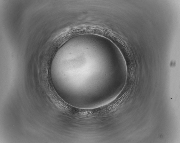 X0000092071489200709121405