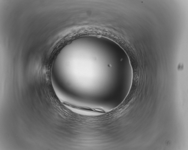 X0000092071490200709121405