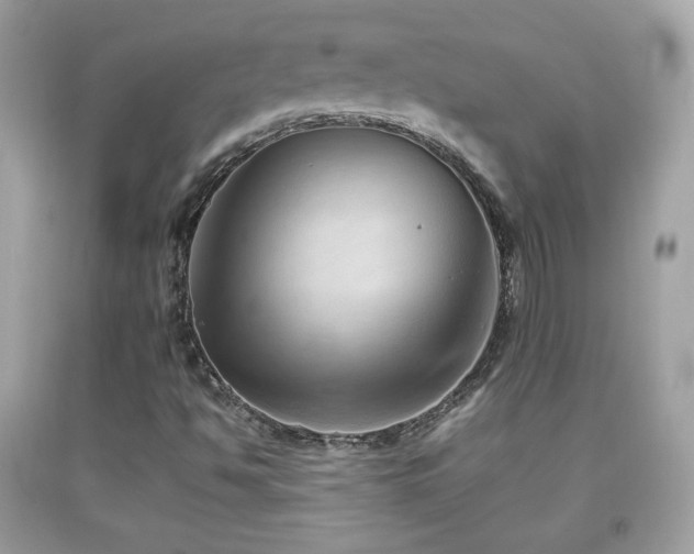 X0000092071494200709121405